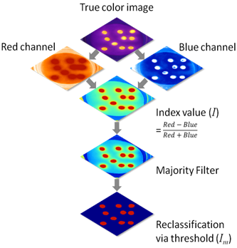 enhed Sæson forslag Nile Red Staining as a Subsidiary Method for Microplastic Quantification: A  Comparison of Three Solvents and Factors Influencing Application Reliability