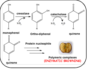 Figure1