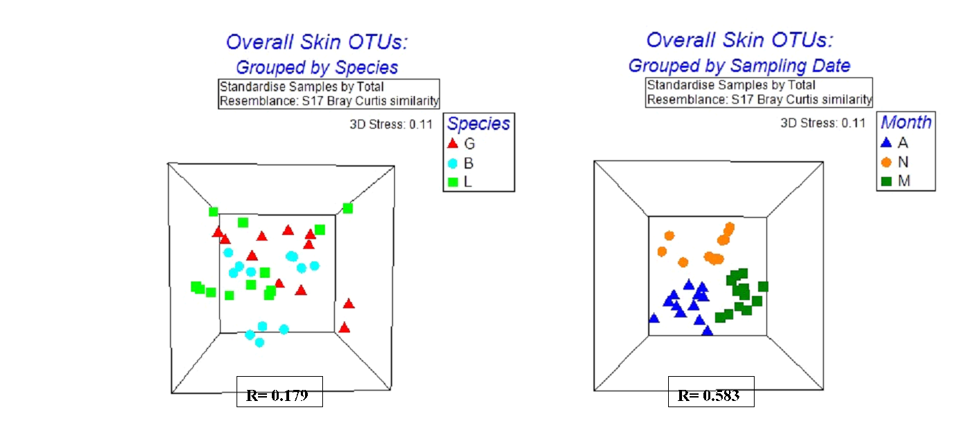 https://www.siftdesk.org/articles/images/459/3.png