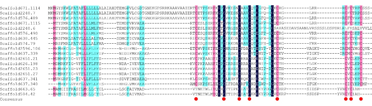 https://www.siftdesk.org/articles/images/499/2.png