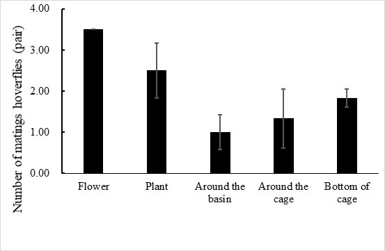 https://www.siftdesk.org/articles/images/519/2.png