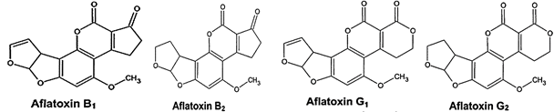 Chemical structures of B1, B2, G1, and G2 AFs