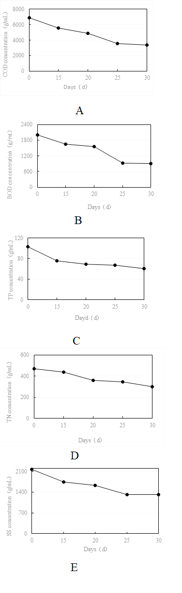 https://www.siftdesk.org/articles/images/618/5.png